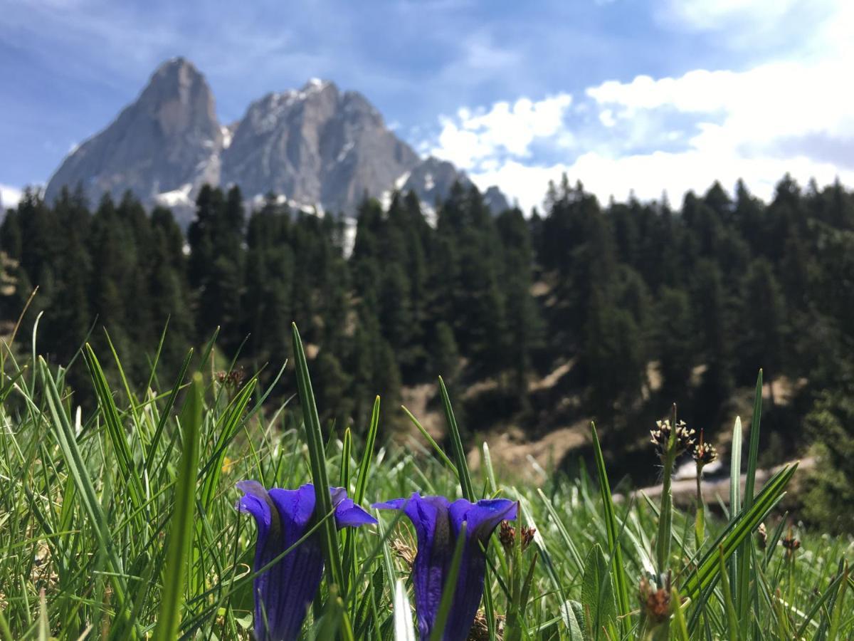 Agriturism Gscnara Leilighet San Martino in Badia Eksteriør bilde